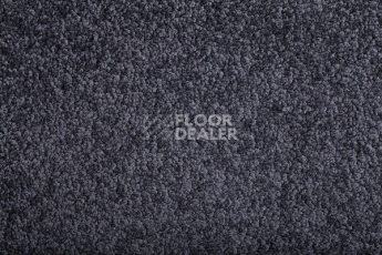 Ковролин Condor Minotti Minotti 917804 фото 1 | FLOORDEALER